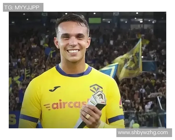 探索那些被低估的宝藏足球明星与他们的精彩表现